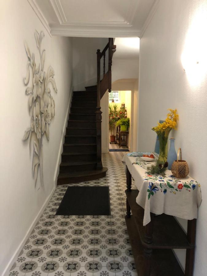 Villa Camelia Quartier Thermal Grand Studio Au Calme Виши Экстерьер фото